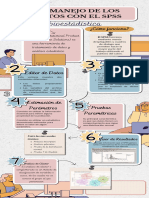 Infografía El Manejo de Los Datos Con El SPSS