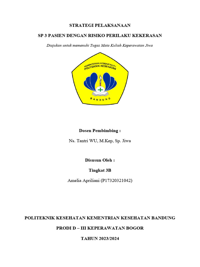 Strategi SP 3 untuk Pasien Kekerasan | PDF | Karier & Perkembangan ...