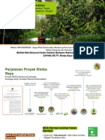 Rimba Raya Melihat Nilai Ekonomi Hutan Gambut Berbasis Restorasi