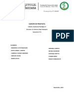 C. Prostata PDF