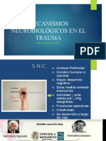 Mecanismos Neurobiológicos en El Trauma Semana 9