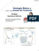 Sinapse Química e Elétrica - 231002 - 133126