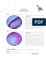 Guia Sobre Los Microscopios