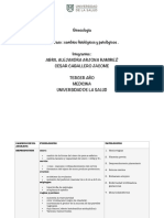 Cuadro Comparativo Embarazo