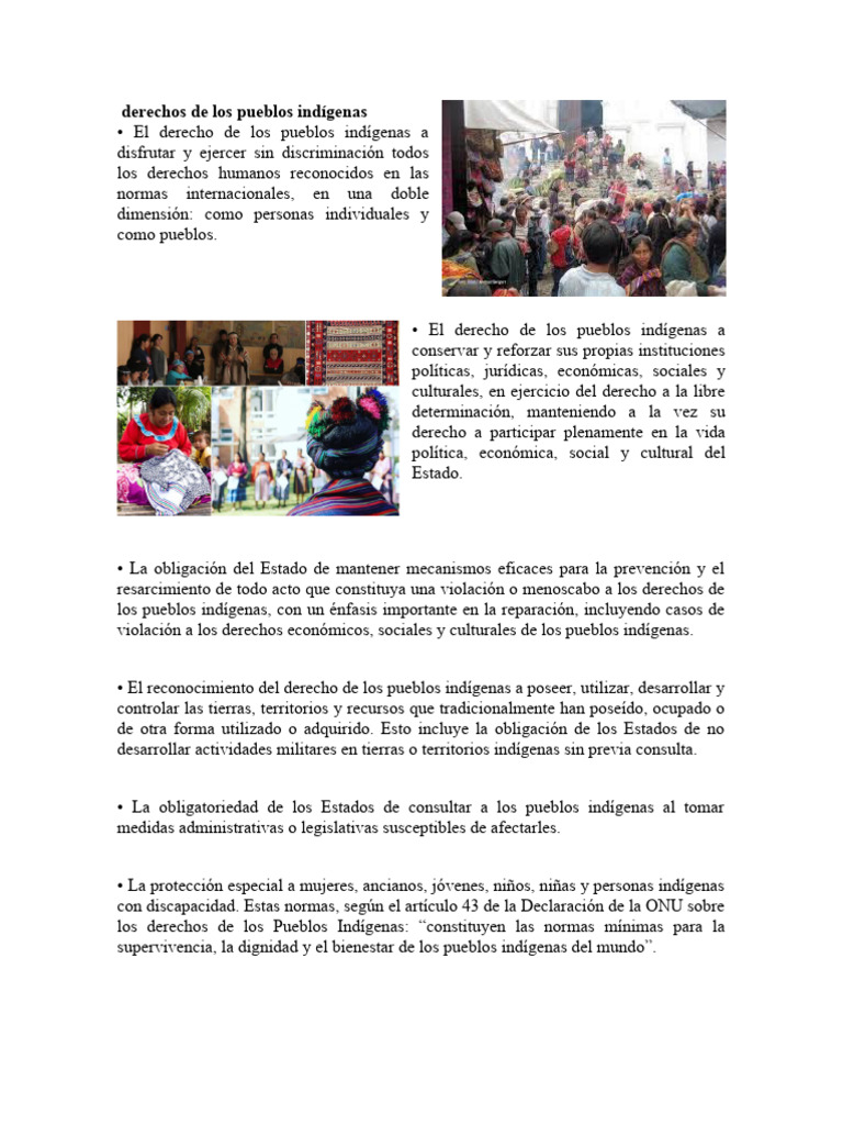 Derechos de los Pueblos Indígenas en Guatemala | PDF | Política