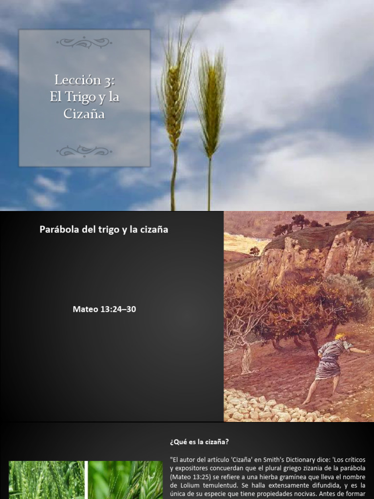Lección 3 - El Trigo y La Cizaña | Descargar gratis PDF | Evangelio de ...