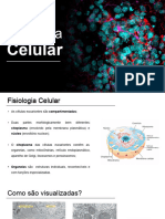 Estrutura: Celular