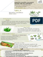 Infografía Plantas Medicinales Áloe Vera