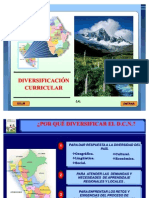 procesodiversificacioncurricular-110611205848-phpapp01
