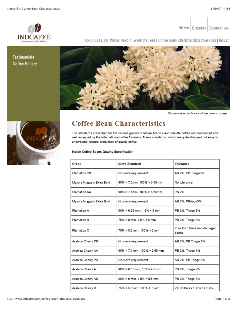 Indcaffé - Coffee Bean Characteristics | PDF | Coffee | Crops