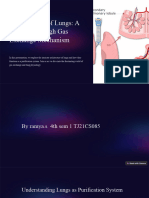 The Wonders of Lungs A Journey Through Gas Exchange Mechanism