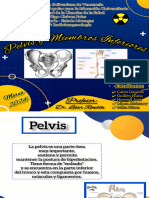 Pelvis y Miembros Inferiores