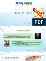 Medio Interno