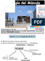 Fisiologia Del Musculo - Dra. Esther Barreiro - Barcelona 2014