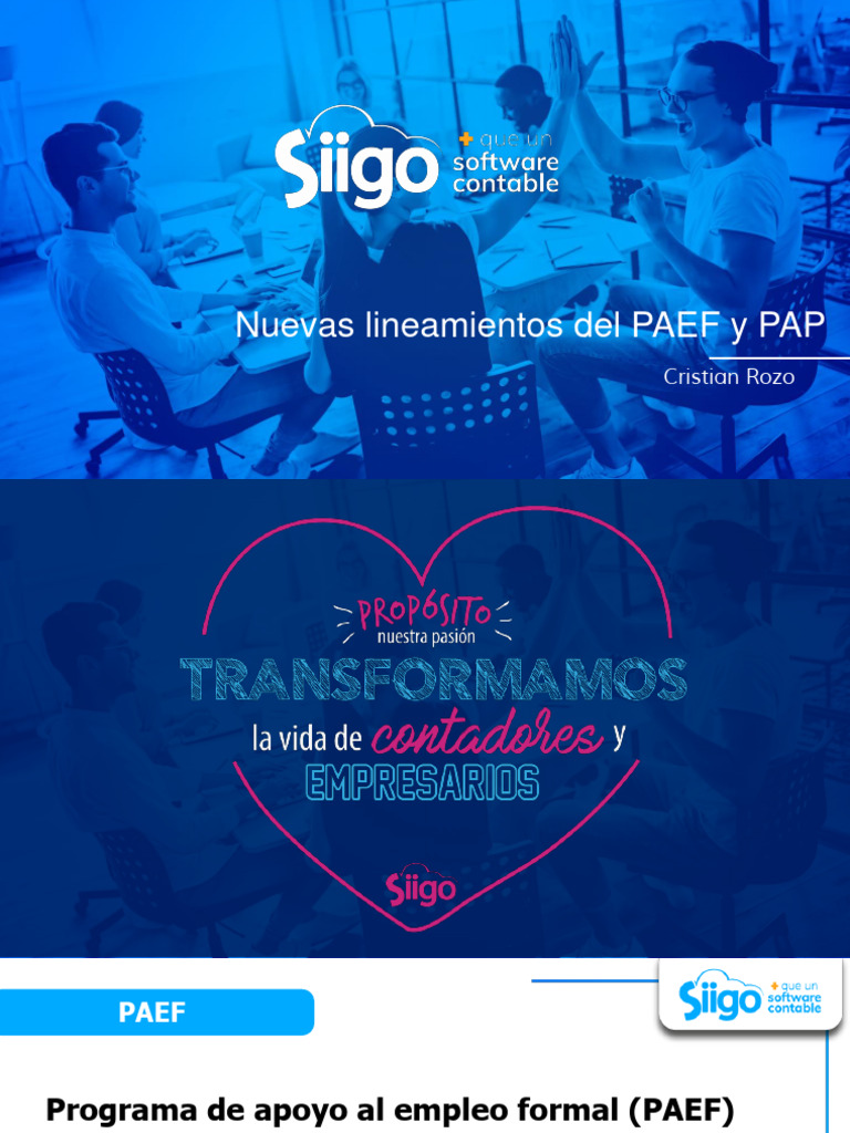 Lineamientos PAEF y PAP 2020-2021 | PDF | Negocios económicos | Business