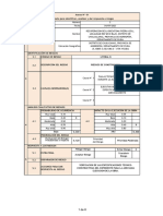 FormatoRiesgo - Piedra Azul - Anexo01