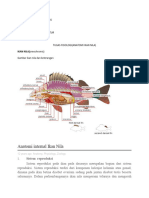 Anatomi Ikan Nila Danu