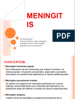 Meningitis Bovina