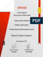 Certificado Cyn 2