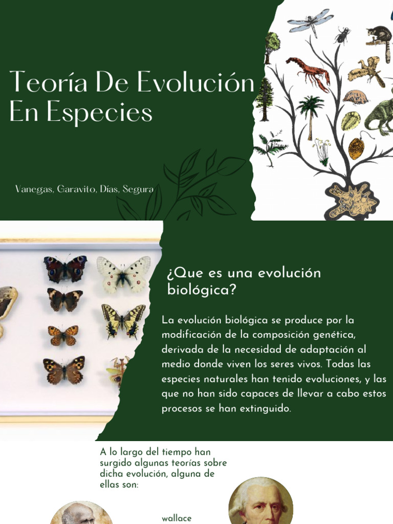 presentaci-n-proyecto-sostenibilidad-moderno-con-fotograf-a-en-color