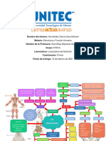 Articulaciones. Mapa Mental