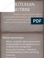 Kebutuhan Nutrisi