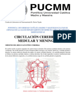 Catedra de Laboratorio de Neuroanatomía Circulacion Cerebral y Espinal y Las Meninges PUCMM