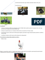 Unit 4 Poultry Processing