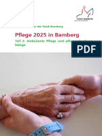 Pflege 2025 in Bamberg: Teil 2: Ambulante Pflege Und Pflegende Ange-Hörige