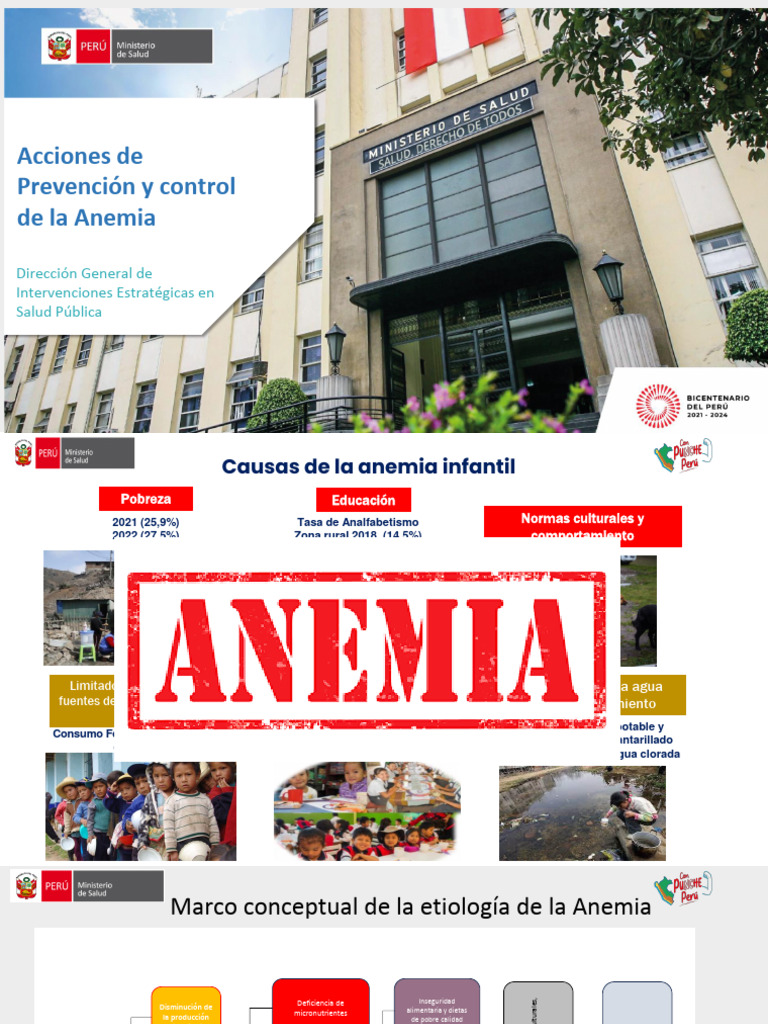 Acciones de Prevención y Control de La Anemia - Minsa | Descargar ...