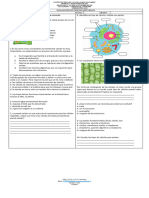 Diagnostico de Naturales