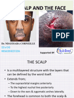 The Scalp and The Face