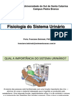 Fisiologia Do Sistema Urinário