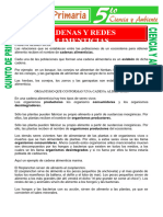 Cadenas y Redes Alimenticias para Quinto de Primaria