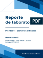 Reporte de Anatomía