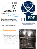 004 Composición y Sustratos Energéticos