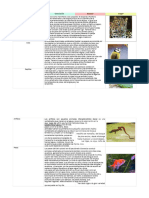 Tabla Combinada Con Im-Genes - PDF - 20240303 - 191400 - 0000