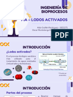 PIA-E3 LodosActivados