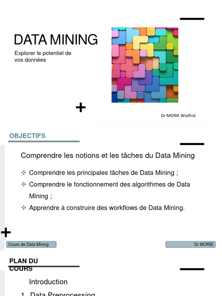 Introduction au Data Mining | PDF | Machine à vecteurs de support ...