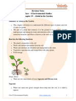 Abdul in The Garden Class 4 Notes CBSE EVS Chapter 19 (PDF)