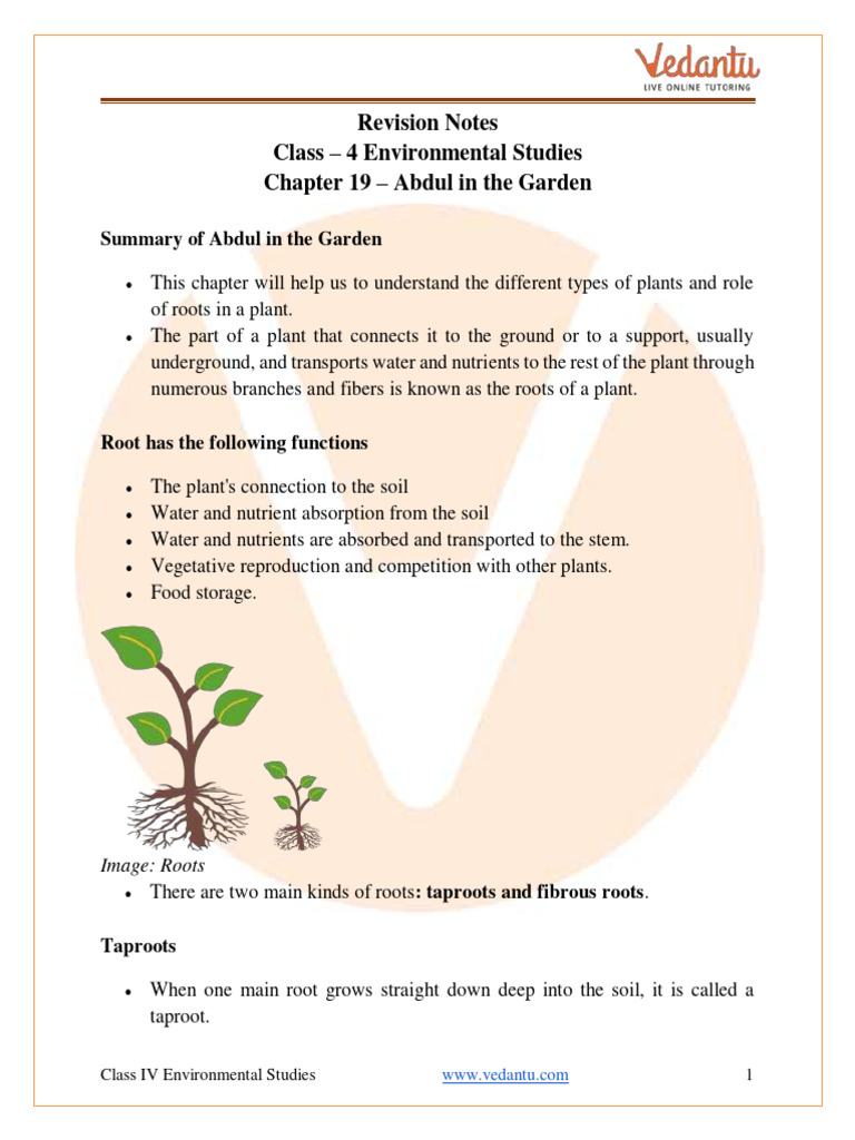 Abdul in the Garden Class 4 Notes CBSE EVS Chapter 19 [PDF] | PDF ...