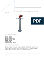 Hidrant Portativ DN100IC