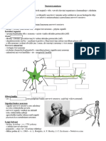 ZL - NervovÃ¡ Soustava - Pracovnã List