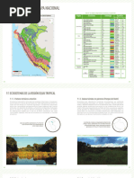 Ecosistema Bosque de Colina Alta Kotsimba | PDF | Los bosques | Clima