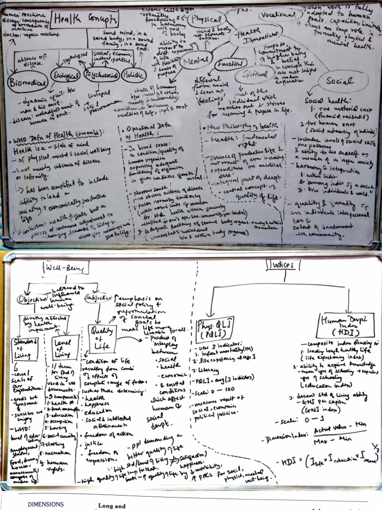 Epidemiology Sem1 Notes | PDF | Health Economics | Medical Specialties