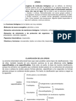 Tema 3. LÃ - Pidos. CaracterÃ - Sticas Generales y Funciã N Biolã Gica (2024)