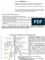 Tema 1. La Ciencia Bioquã - Mica. DiseÃ o Molecular de La Vida (2023)