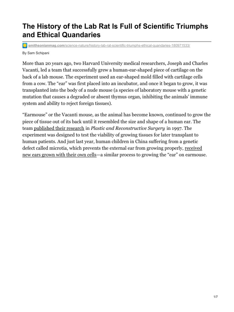The History of The Lab Rat Is Full of Scientific Triumphs and Ethical ...