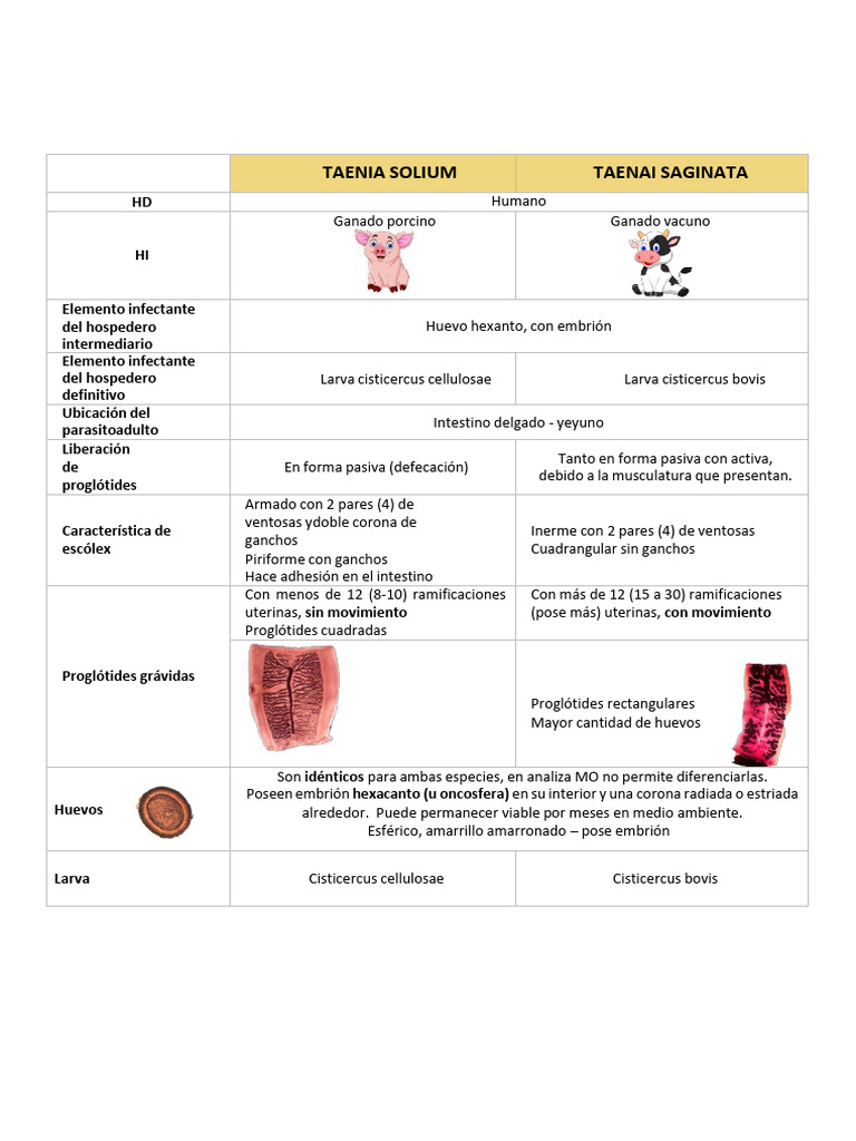 Tabla Teniasis | PDF | Epidemiología | Medicina