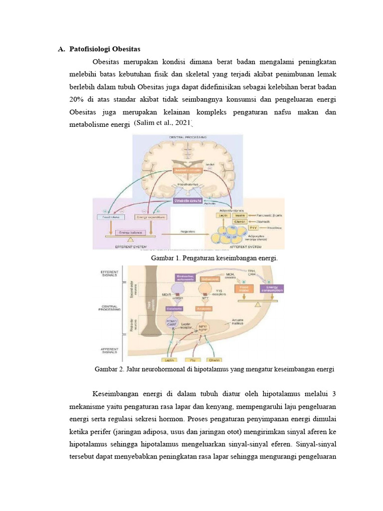 Patofisiologi Obesitas Pdf